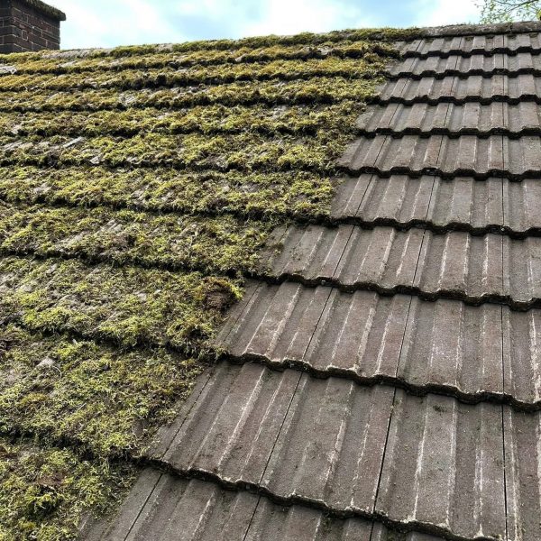 494559870_566956919759469_5671850678179423630_n